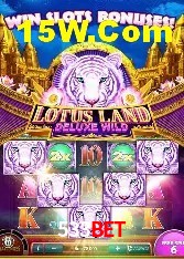 Estatísticas 533Bet